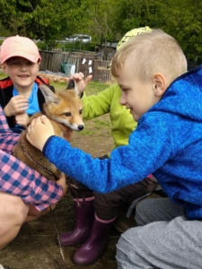 Zajíčci na výletě na farmu v Ludéřově